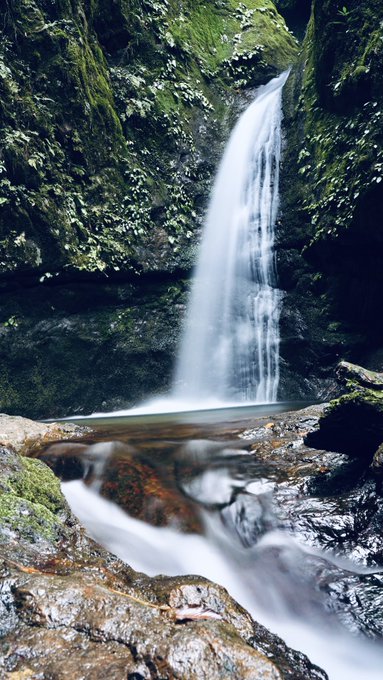 2026-10-03 18:27の投稿写真 2