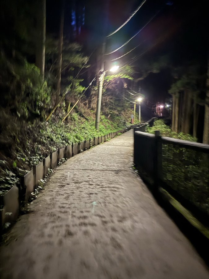 2026-10-03 18:09の投稿写真 3