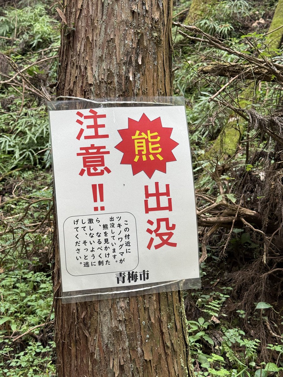 2026-10-03 14:00の投稿写真 1