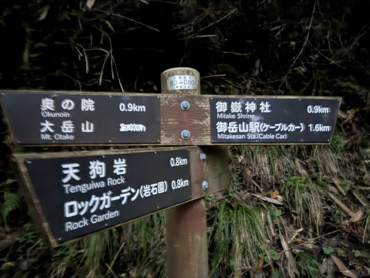 2026-10-03 18:09の投稿写真 1